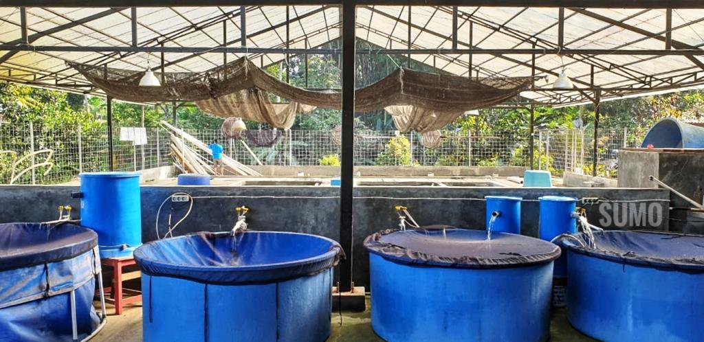 Koi Farm kawasan Megamendung
